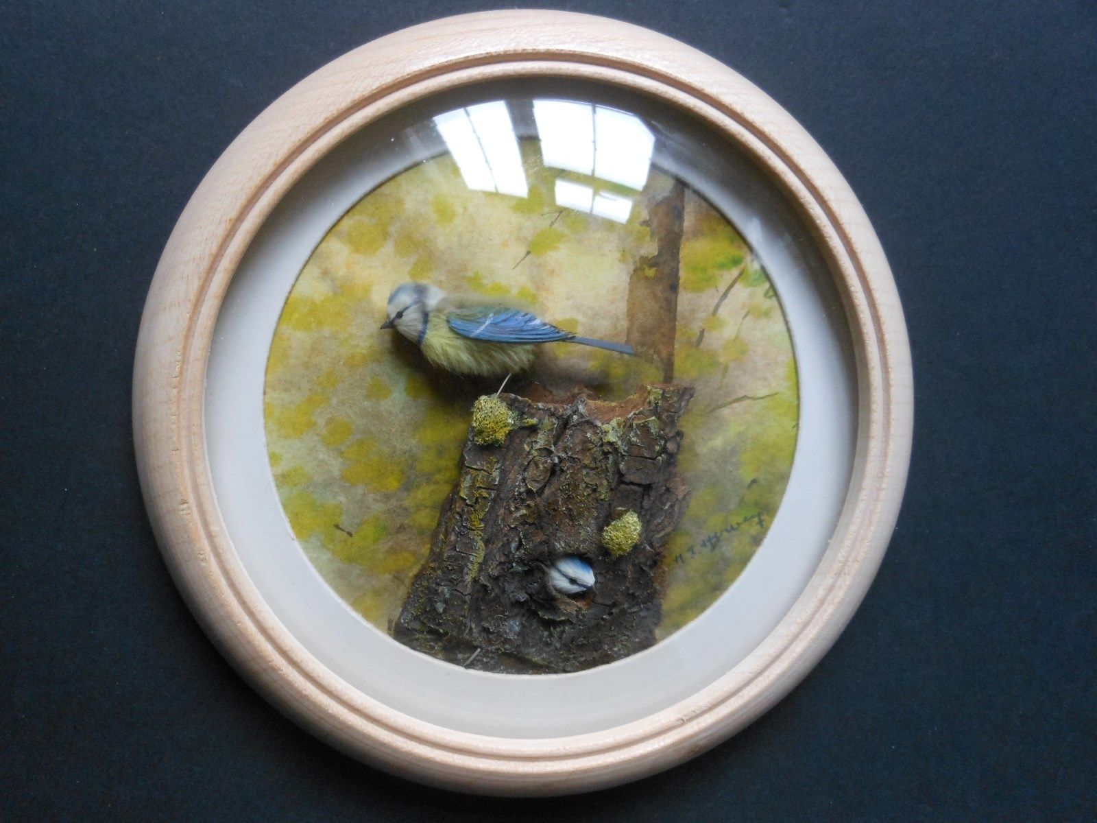 Bluetits (Version 3) (5-inch)